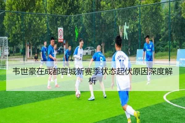 韦世豪在成都蓉城新赛季状态起伏原因深度解析