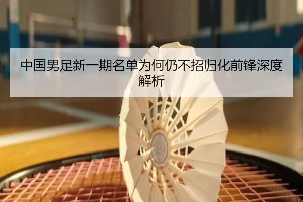 中国男足新一期名单为何仍不招归化前锋深度解析
