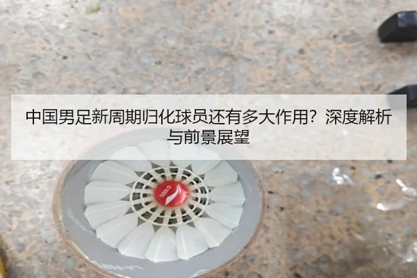 中国男足新周期归化球员还有多大作用？深度解析与前景展望